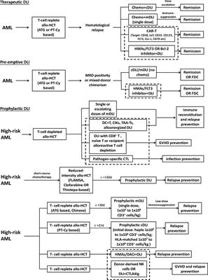 Optimization of Donor Lymphocyte Infusion for AML Relapse After Allo-HCT in the Era of New Drugs and Cell Engineering